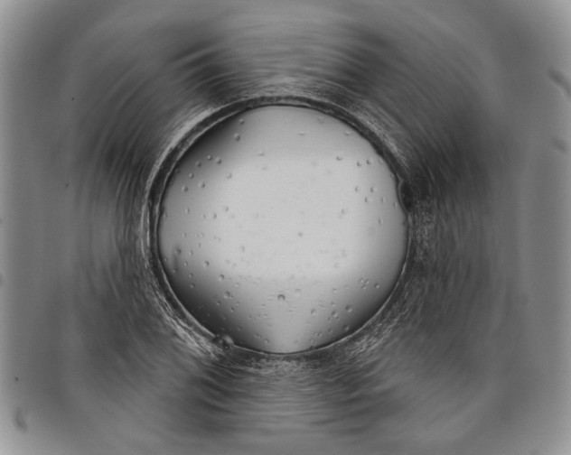 X0000097951076200804140957