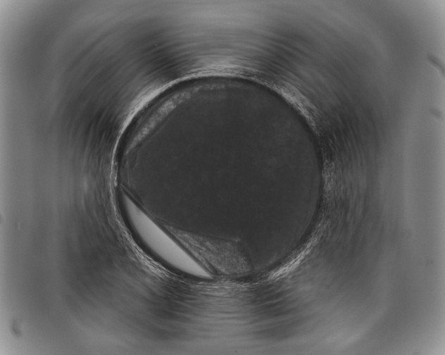 X0000097951077200804140957
