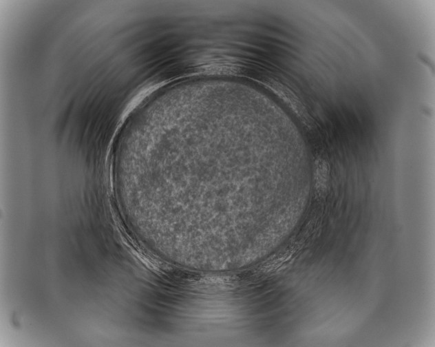 X0000097951078200804140957