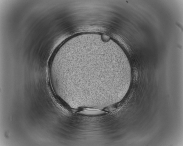 X0000097951079200804140957