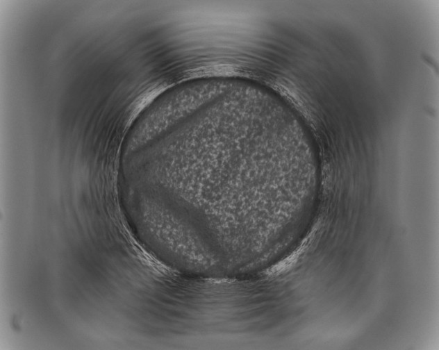 X0000097951081200804140957