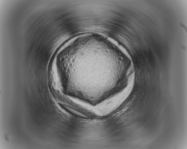 X0000097951087200804140957