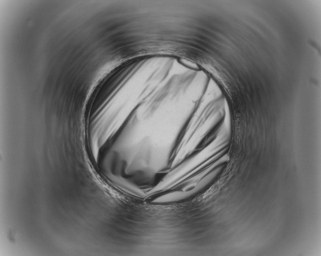X0000097951088200804140957