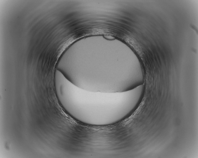X0000097951089200804140957
