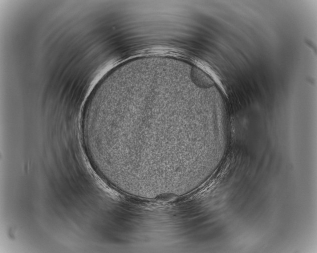 X0000097951091200804140957