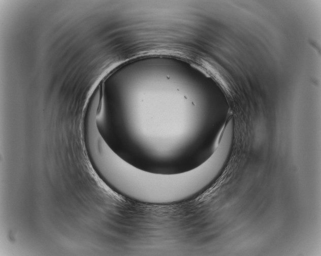 X0000097951092200804140957