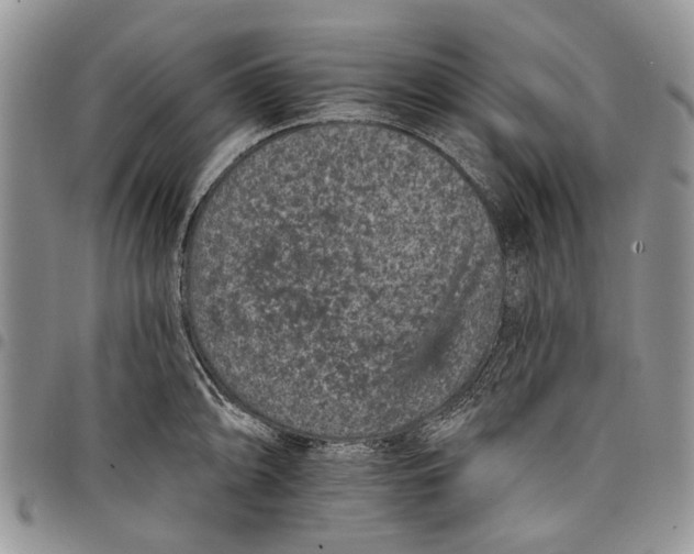 X0000097951094200804140957