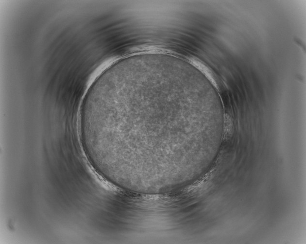X0000097951098200804140957