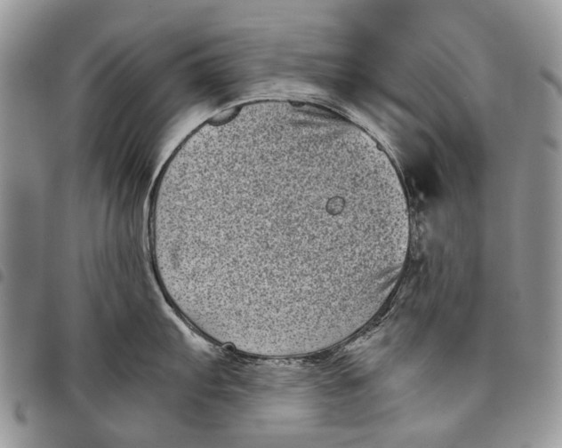 X0000097951103200804140957