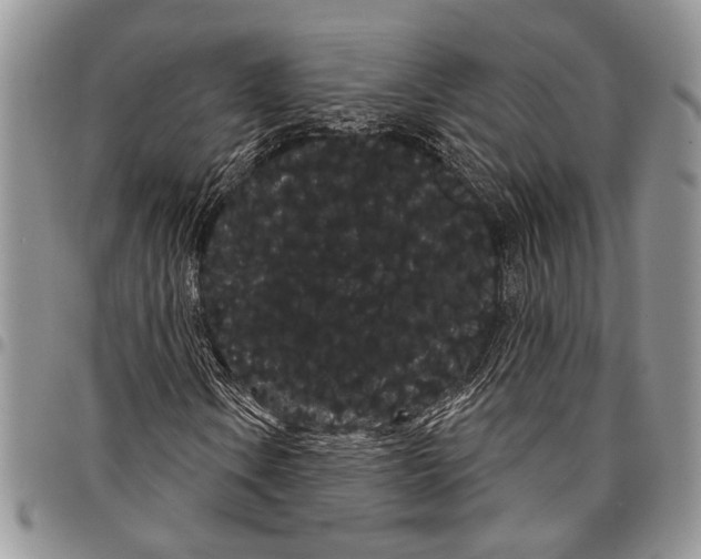 X0000097951106200804140956