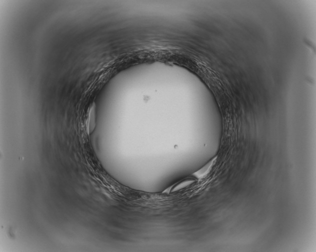 X0000097951109200804140956
