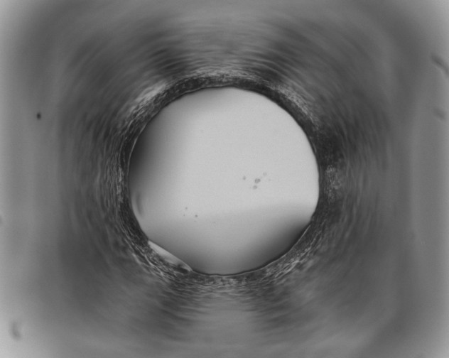 X0000097951111200804140956