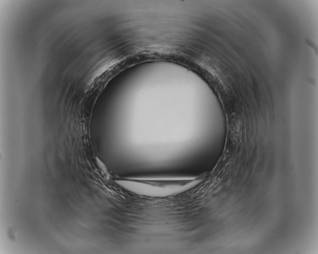 X0000097951112200804140956