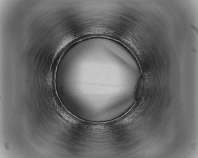 X0000097951114200804140956