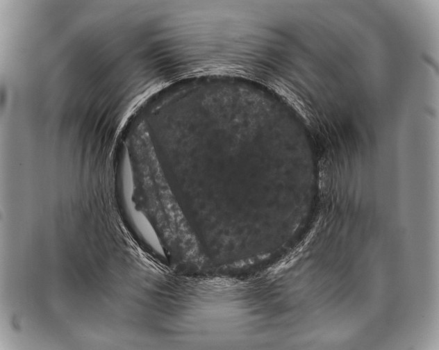 X0000097951117200804140956