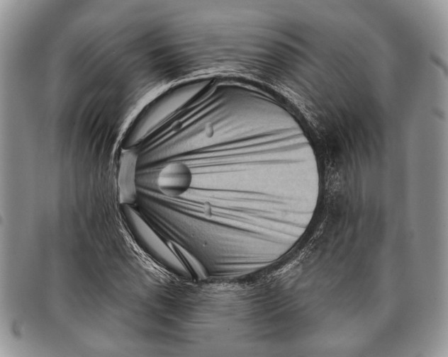 X0000097951118200804140956
