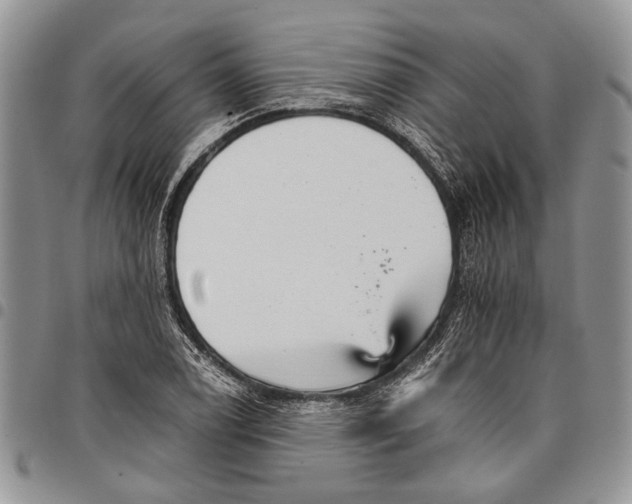 X0000097951122200804140956