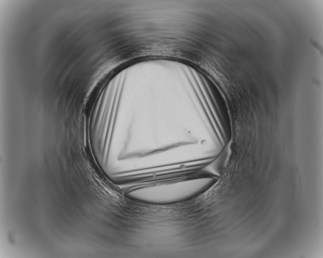 X0000097951123200804140956