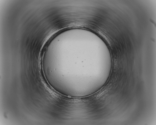 X0000097951124200804140956