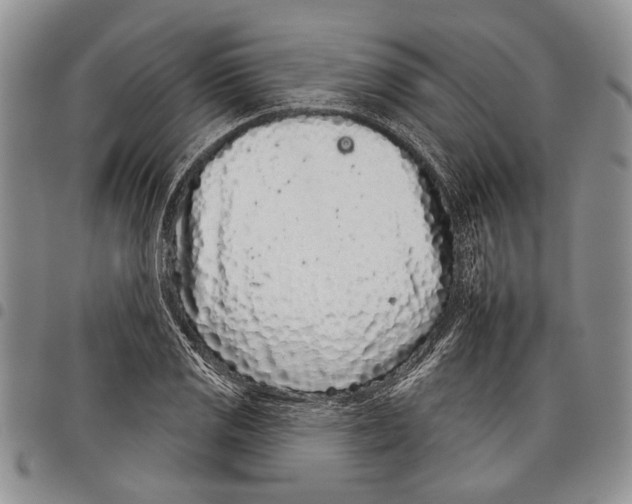 X0000097951125200804140956