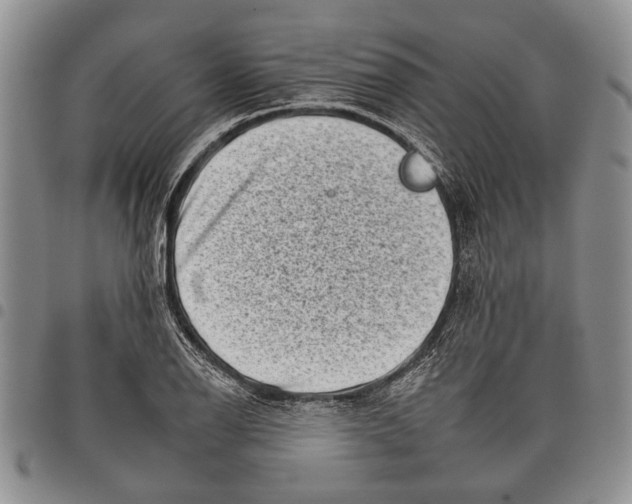 X0000097951126200804140956