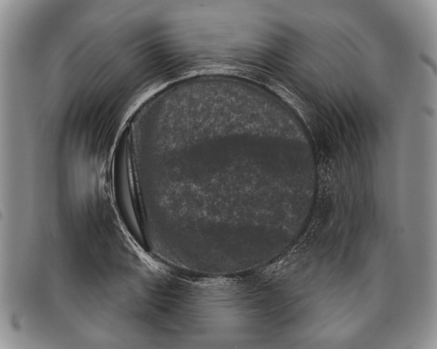 X0000097951127200804140956