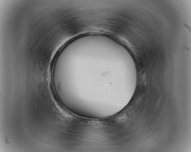 X0000097951128200804140956