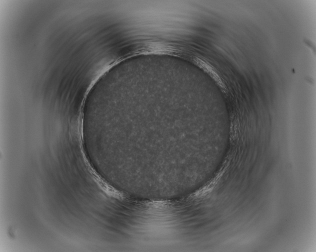 X0000097951130200804140956
