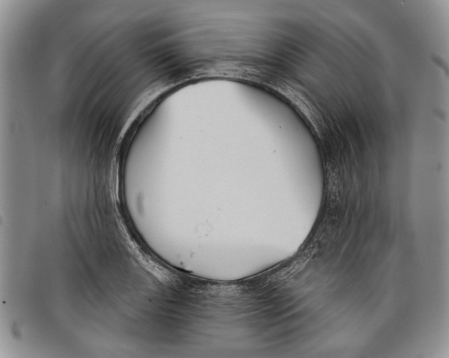 X0000097951131200804140956