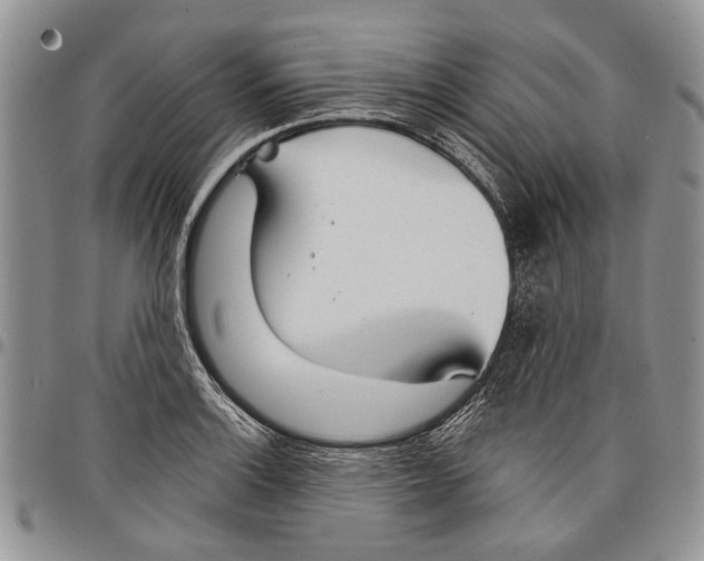 X0000097951132200804140956
