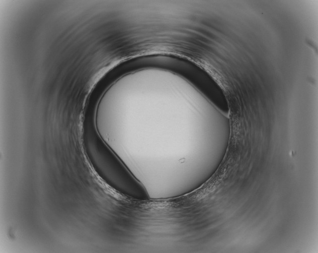 X0000097951134200804140956