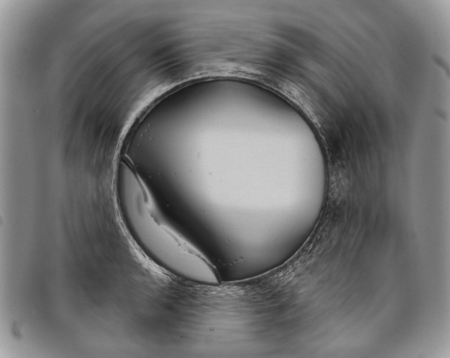 X0000097951136200804140956