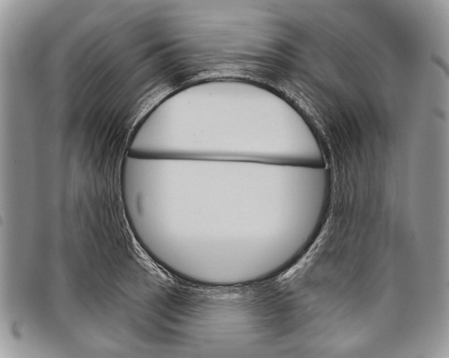 X0000097951137200804140956