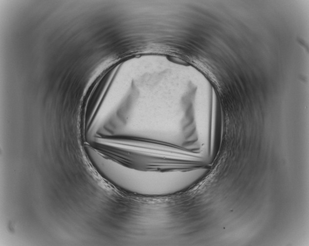 X0000097951138200804140956