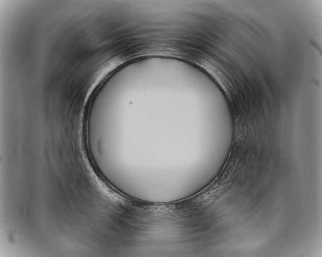 X0000097951139200804140956