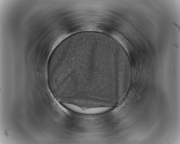 X0000097951141200804140956