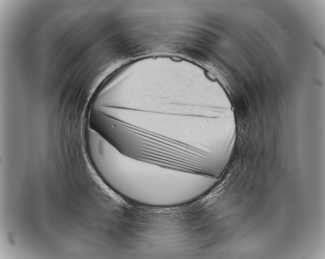 X0000097951142200804140956