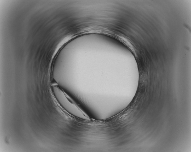 X0000097951146200804140956