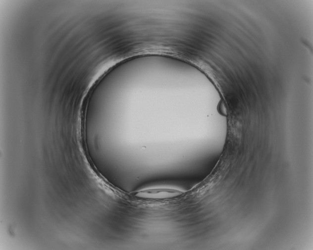 X0000097951147200804140956