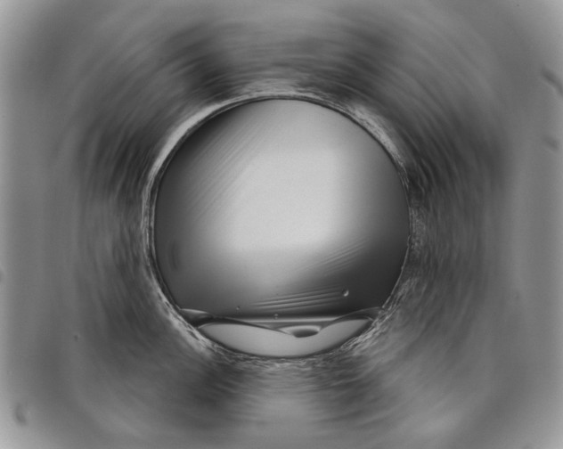 X0000097951148200804140956