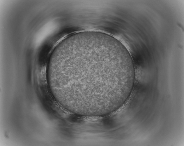 X0000097951150200804140956
