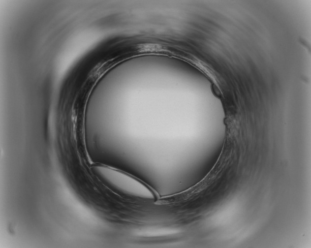 X0000097951151200804140957