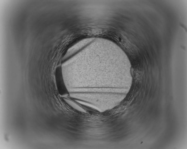X0000097951153200804140956