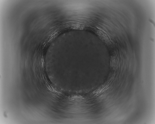 X0000097951154200804140956