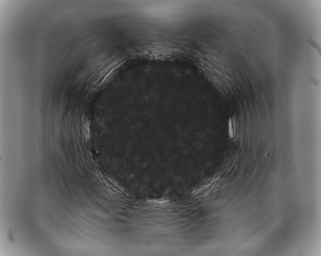 X0000097951155200804140956