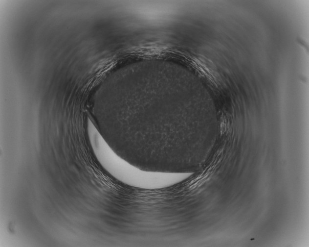 X0000097951156200804140956