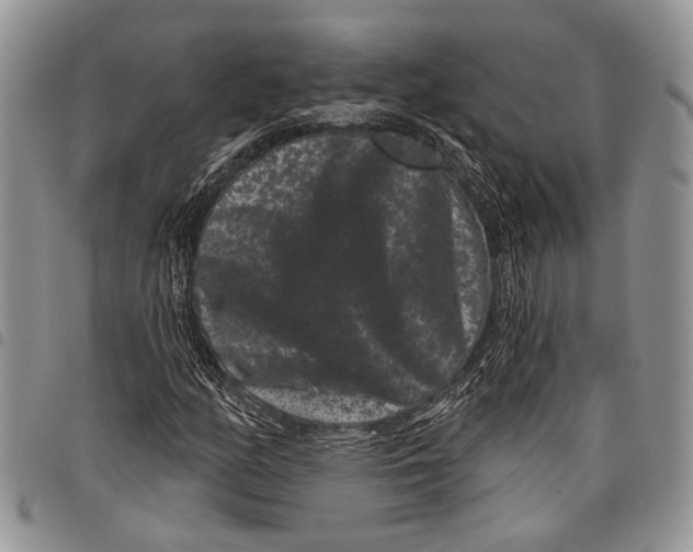 X0000097951158200804140956