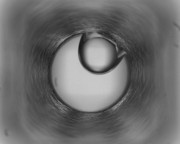 X0000097951161200804140956