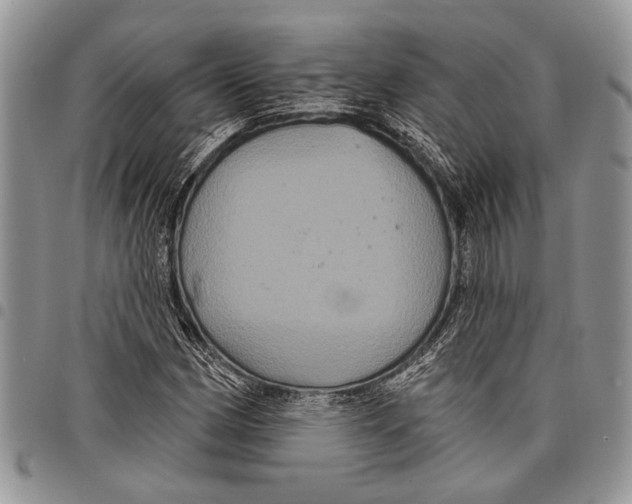 X0000097951162200804140956