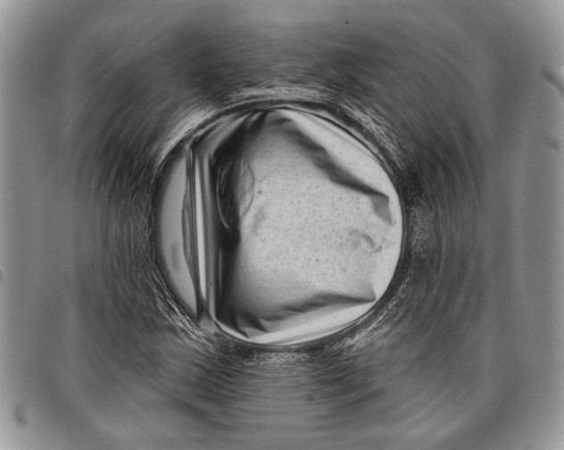 X0000097951163200804140956